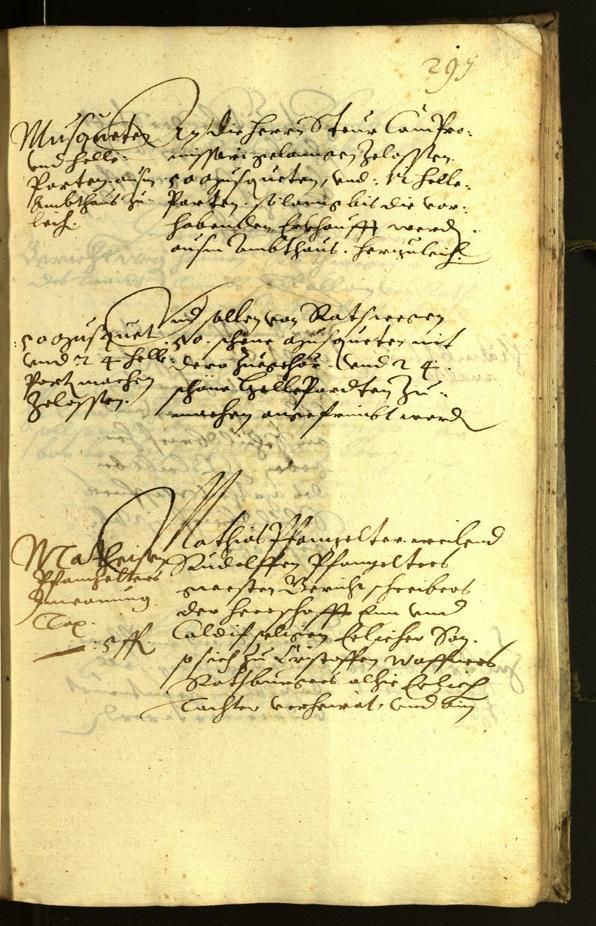 Civic Archives of Bozen-Bolzano - BOhisto Minutes of the council 1619 