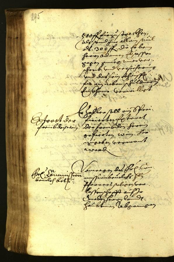 Stadtarchiv Bozen - BOhisto Ratsprotokoll 1619 