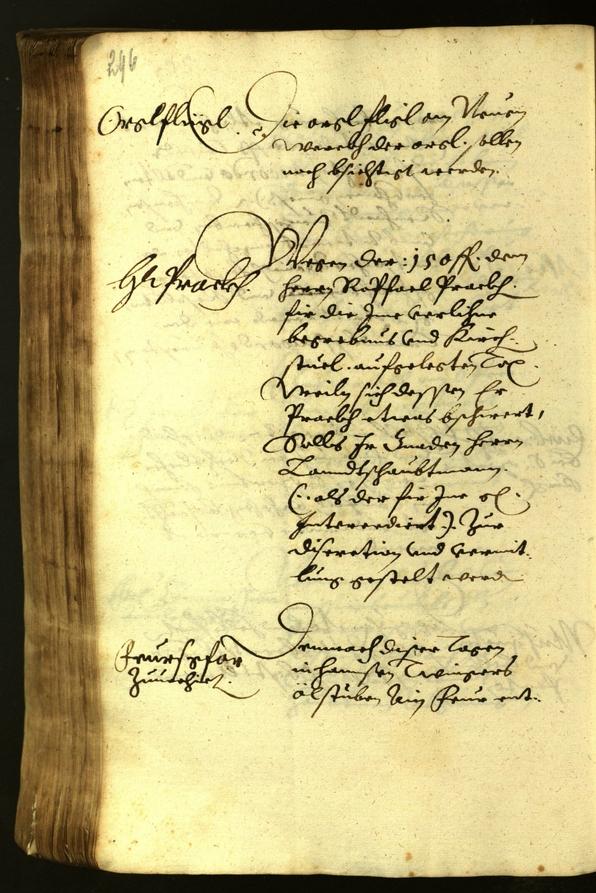 Stadtarchiv Bozen - BOhisto Ratsprotokoll 1619 