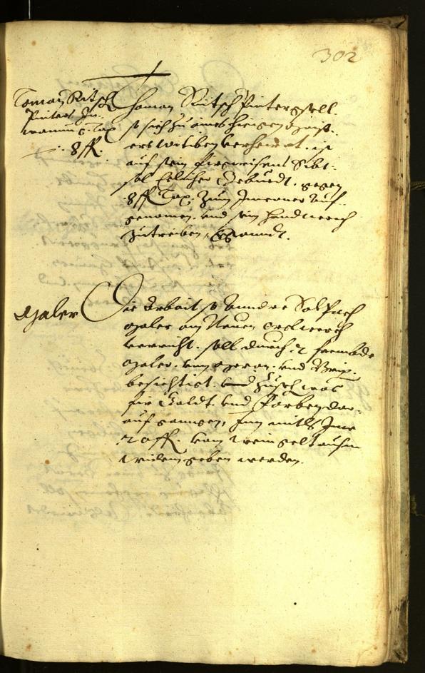 Civic Archives of Bozen-Bolzano - BOhisto Minutes of the council 1619 