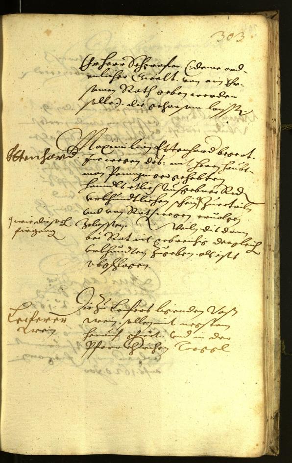 Civic Archives of Bozen-Bolzano - BOhisto Minutes of the council 1619 