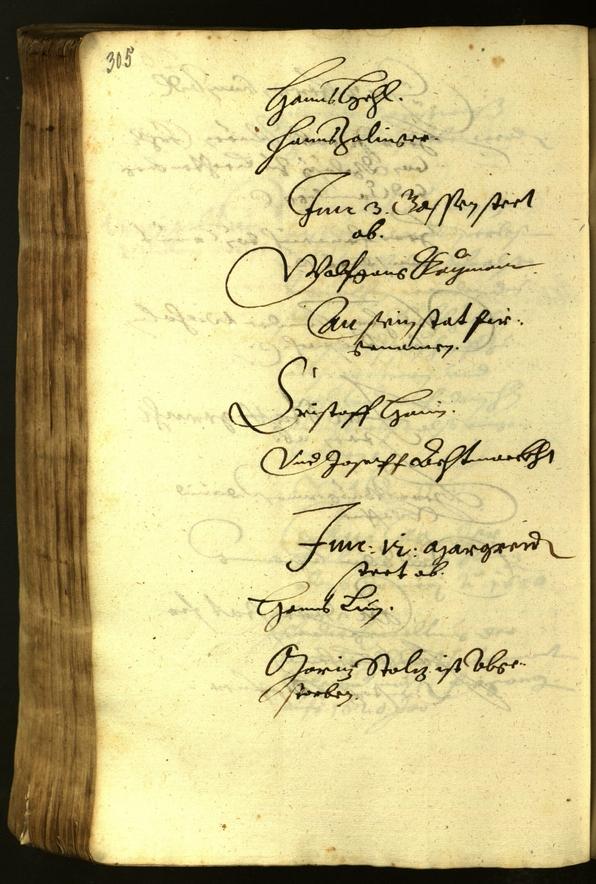 Civic Archives of Bozen-Bolzano - BOhisto Minutes of the council 1619 