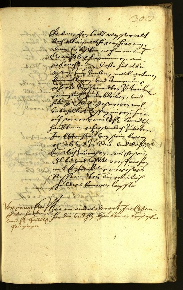 Civic Archives of Bozen-Bolzano - BOhisto Minutes of the council 1619 