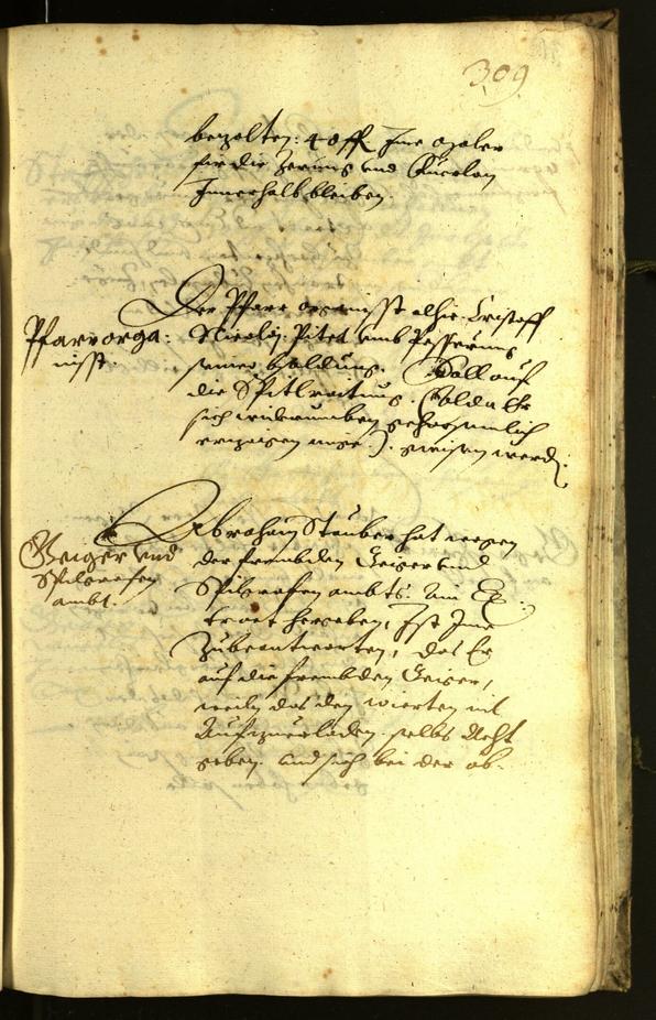 Civic Archives of Bozen-Bolzano - BOhisto Minutes of the council 1619 