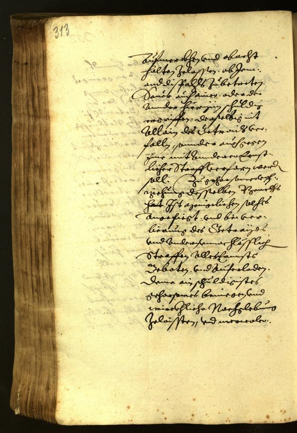 Civic Archives of Bozen-Bolzano - BOhisto Minutes of the council 1619 