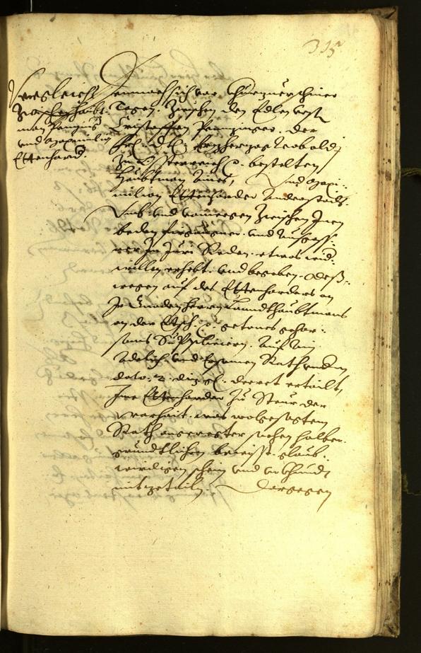 Civic Archives of Bozen-Bolzano - BOhisto Minutes of the council 1619 