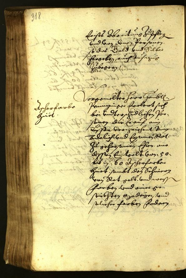 Civic Archives of Bozen-Bolzano - BOhisto Minutes of the council 1619 