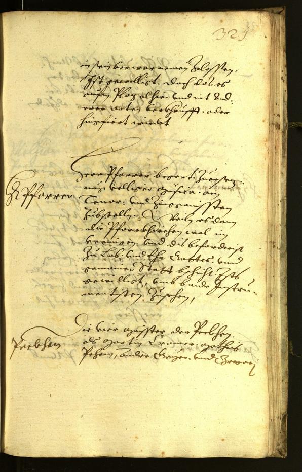 Civic Archives of Bozen-Bolzano - BOhisto Minutes of the council 1619 