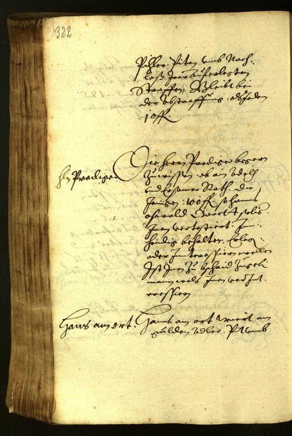 Stadtarchiv Bozen - BOhisto Ratsprotokoll 1619 