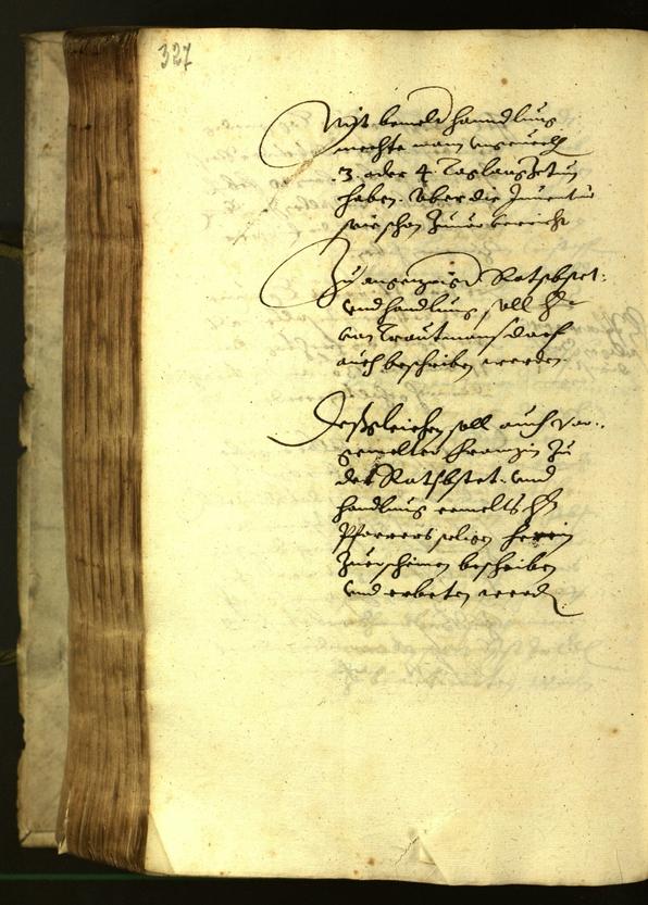 Civic Archives of Bozen-Bolzano - BOhisto Minutes of the council 1619 