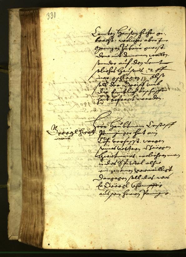 Stadtarchiv Bozen - BOhisto Ratsprotokoll 1619 