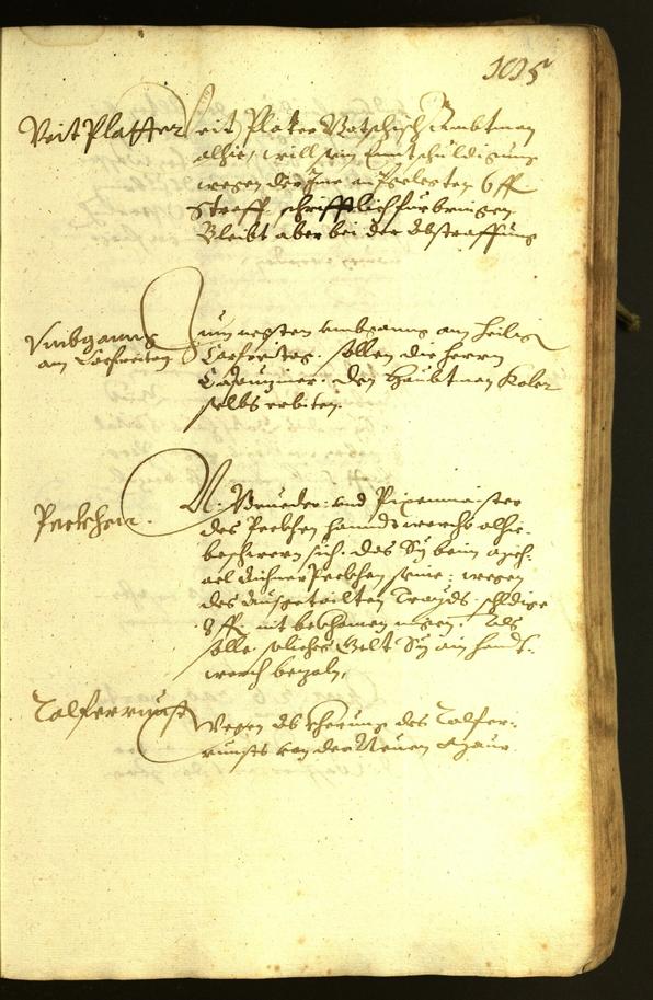 Stadtarchiv Bozen - BOhisto Ratsprotokoll 1619 