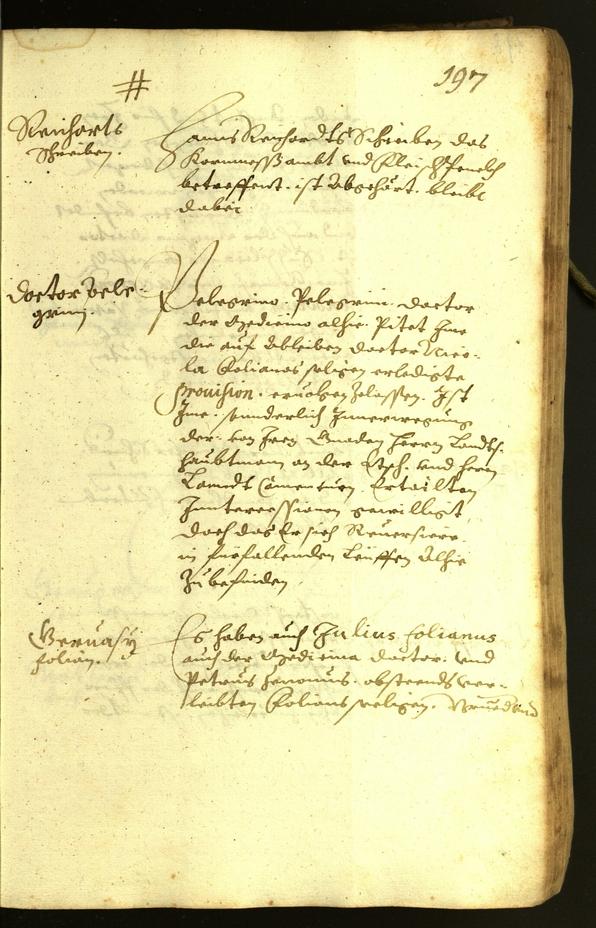 Stadtarchiv Bozen - BOhisto Ratsprotokoll 1619 