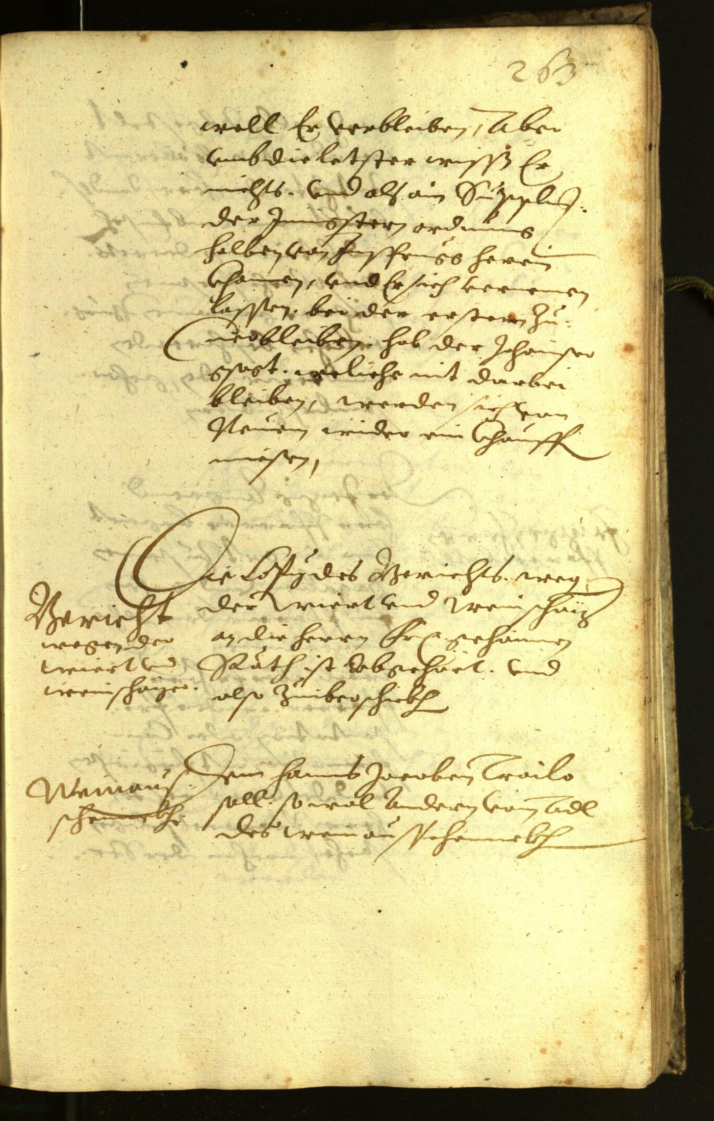 Civic Archives of Bozen-Bolzano - BOhisto Minutes of the council 1619 