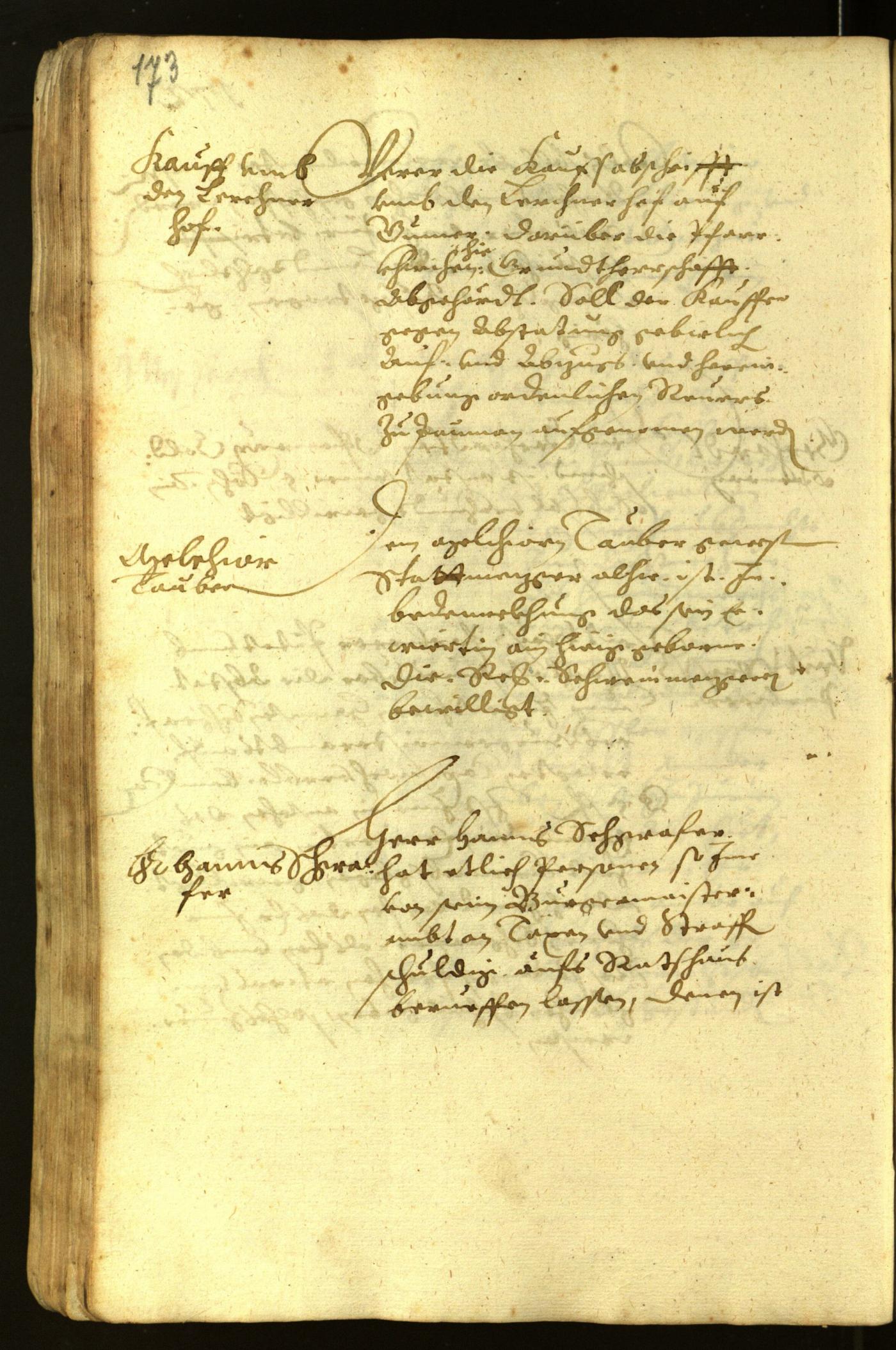 Stadtarchiv Bozen - BOhisto Ratsprotokoll 1619 