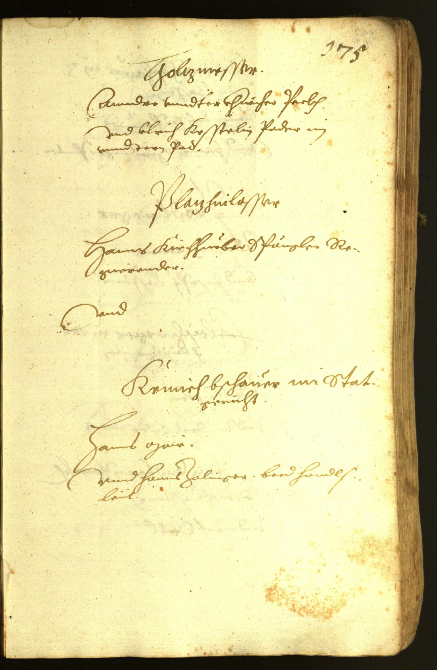 Stadtarchiv Bozen - BOhisto Ratsprotokoll 1619 