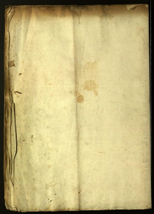 Civic Archives of Bozen-Bolzano - BOhisto Minutes of the council 1620/21 