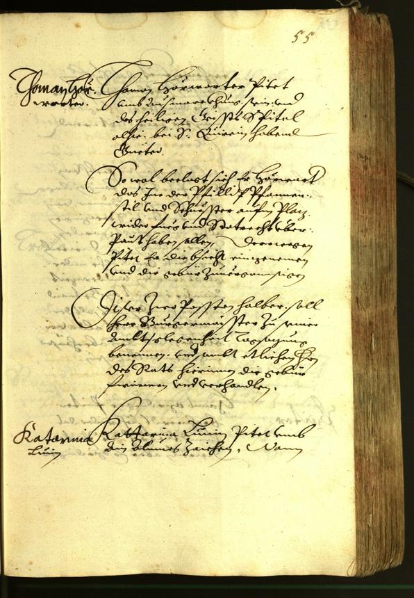 Civic Archives of Bozen-Bolzano - BOhisto Minutes of the council 1620 