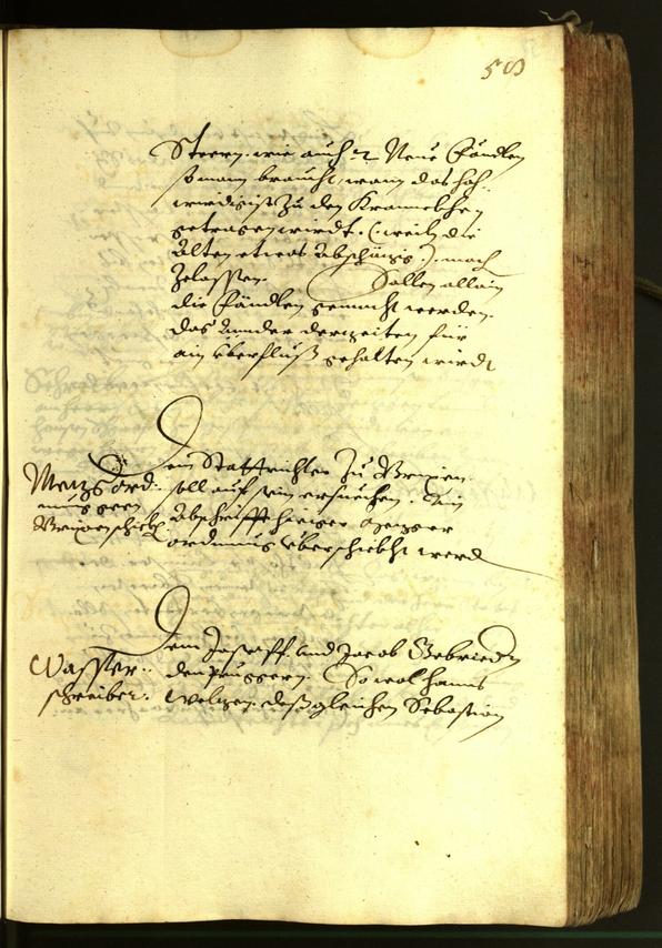 Civic Archives of Bozen-Bolzano - BOhisto Minutes of the council 1620 