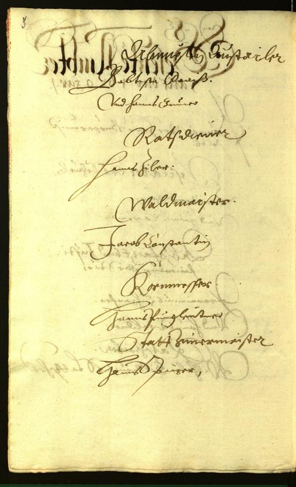 Civic Archives of Bozen-Bolzano - BOhisto Minutes of the council 1620 