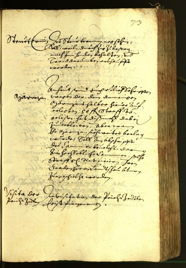 Civic Archives of Bozen-Bolzano - BOhisto Minutes of the council 1620 