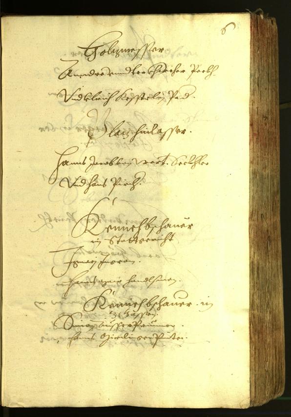 Civic Archives of Bozen-Bolzano - BOhisto Minutes of the council 1620 