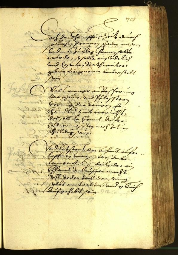 Civic Archives of Bozen-Bolzano - BOhisto Minutes of the council 1620 