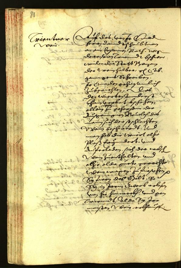 Civic Archives of Bozen-Bolzano - BOhisto Minutes of the council 1620 