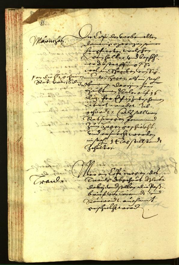 Civic Archives of Bozen-Bolzano - BOhisto Minutes of the council 1620 