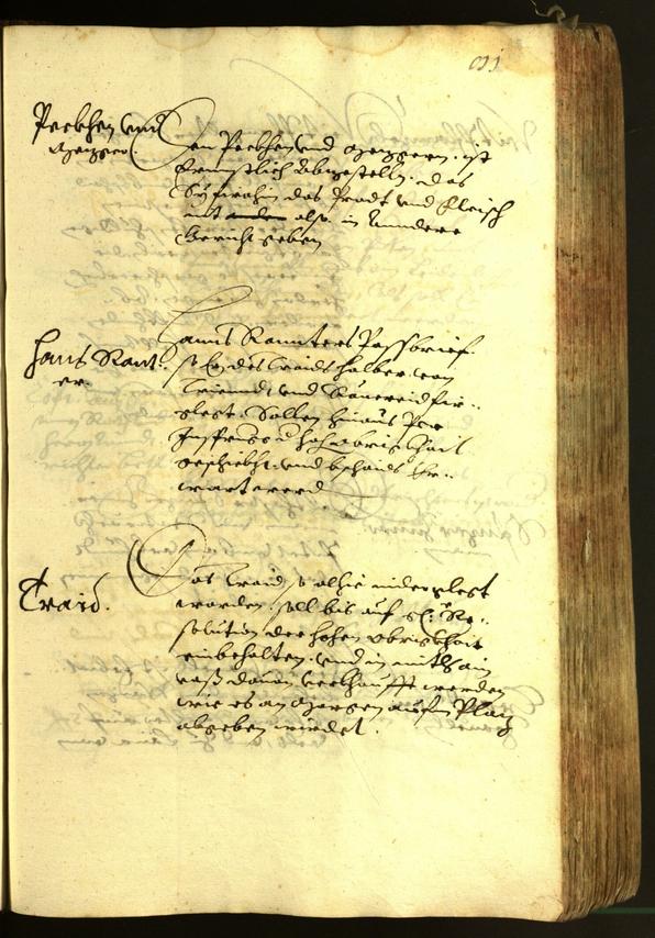 Civic Archives of Bozen-Bolzano - BOhisto Minutes of the council 1620 