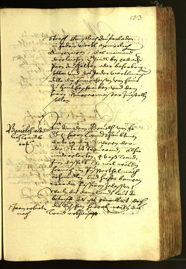 Civic Archives of Bozen-Bolzano - BOhisto Minutes of the council 1620 