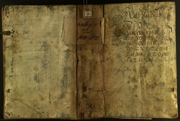 Civic Archives of Bozen-Bolzano - BOhisto Minutes of the council 1620 