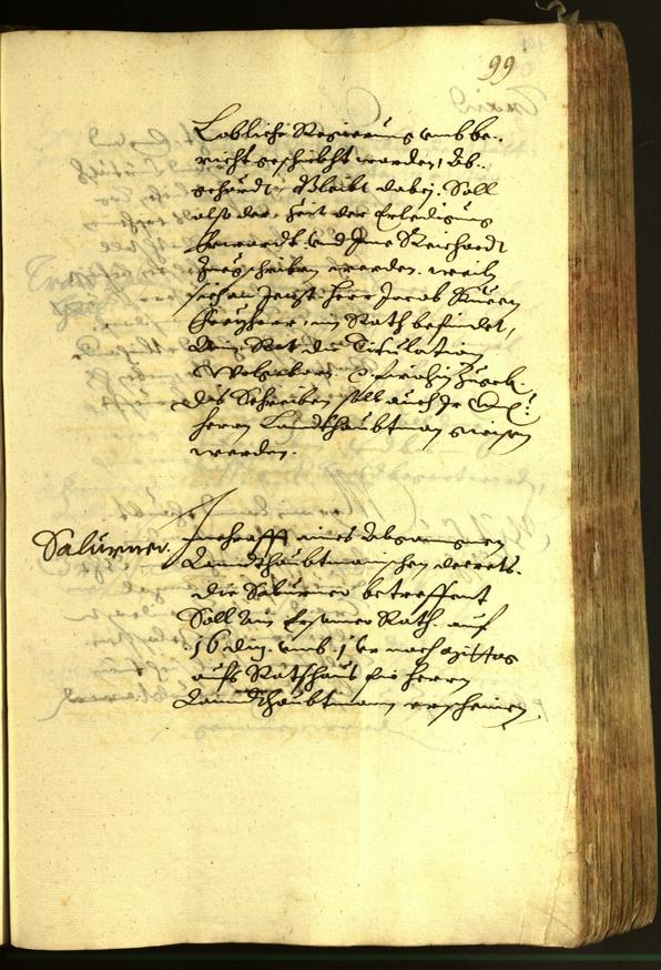 Civic Archives of Bozen-Bolzano - BOhisto Minutes of the council 1620 