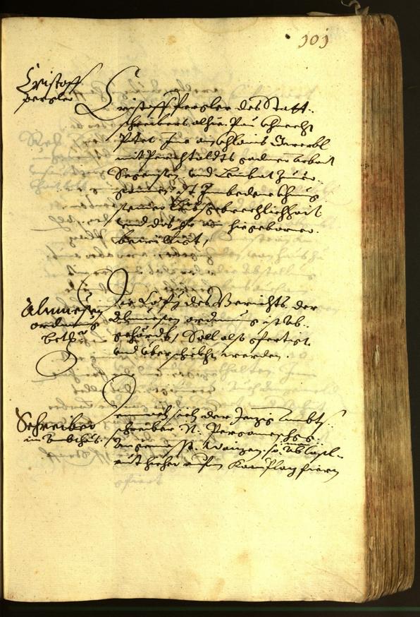 Civic Archives of Bozen-Bolzano - BOhisto Minutes of the council 1620 