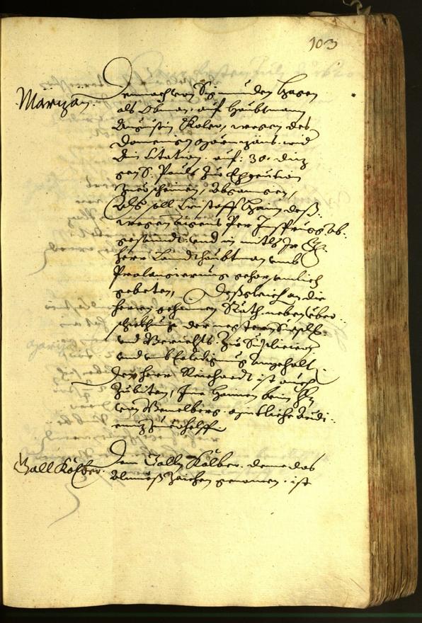 Civic Archives of Bozen-Bolzano - BOhisto Minutes of the council 1620 