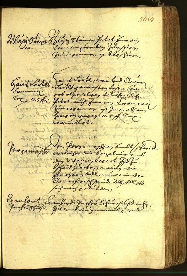 Civic Archives of Bozen-Bolzano - BOhisto Minutes of the council 1620 