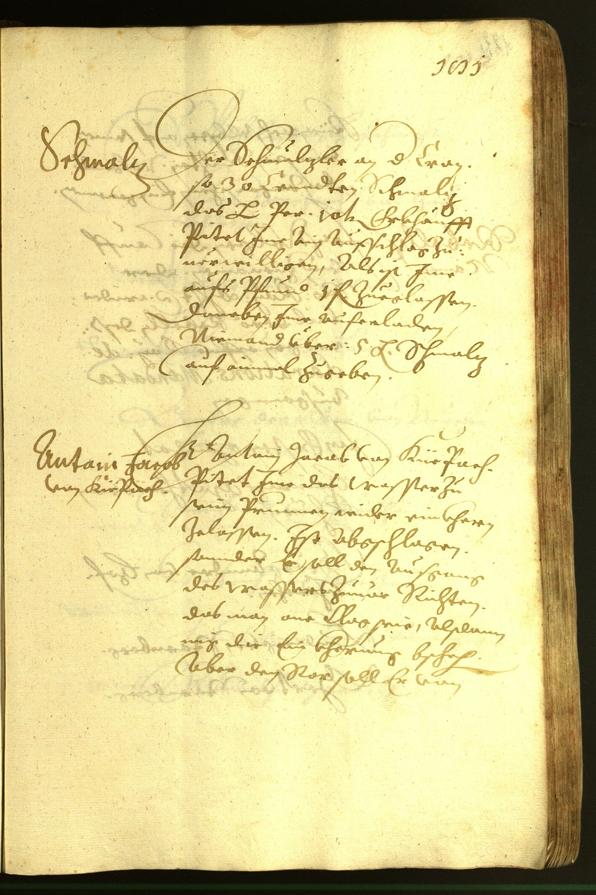 Civic Archives of Bozen-Bolzano - BOhisto Minutes of the council 1620 