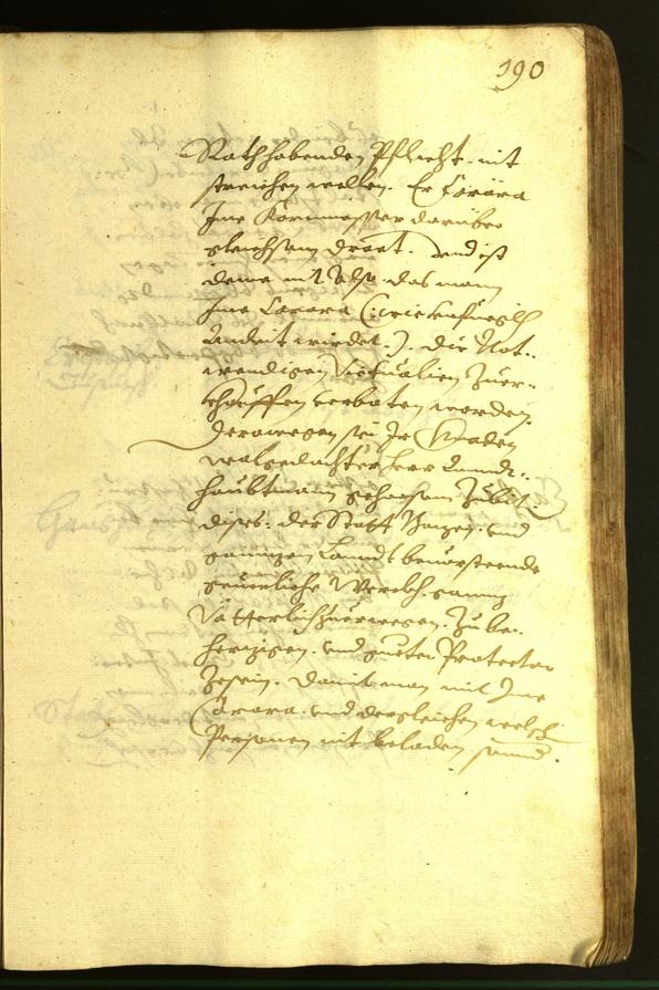 Civic Archives of Bozen-Bolzano - BOhisto Minutes of the council 1620 