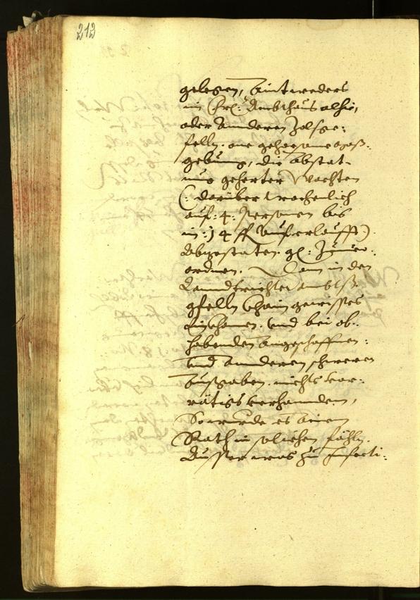 Civic Archives of Bozen-Bolzano - BOhisto Minutes of the council 1620 