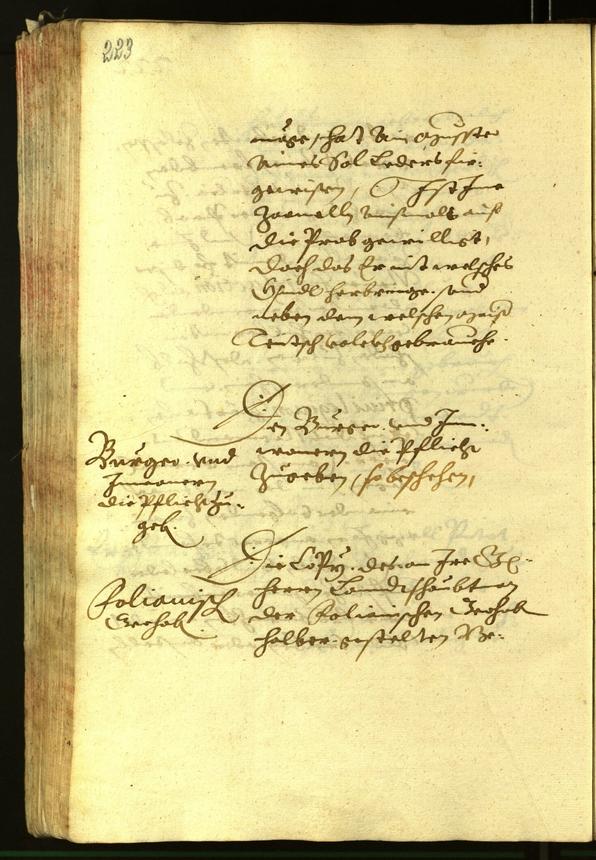 Archivio Storico della Città di Bolzano - BOhisto protocollo consiliare 1620 