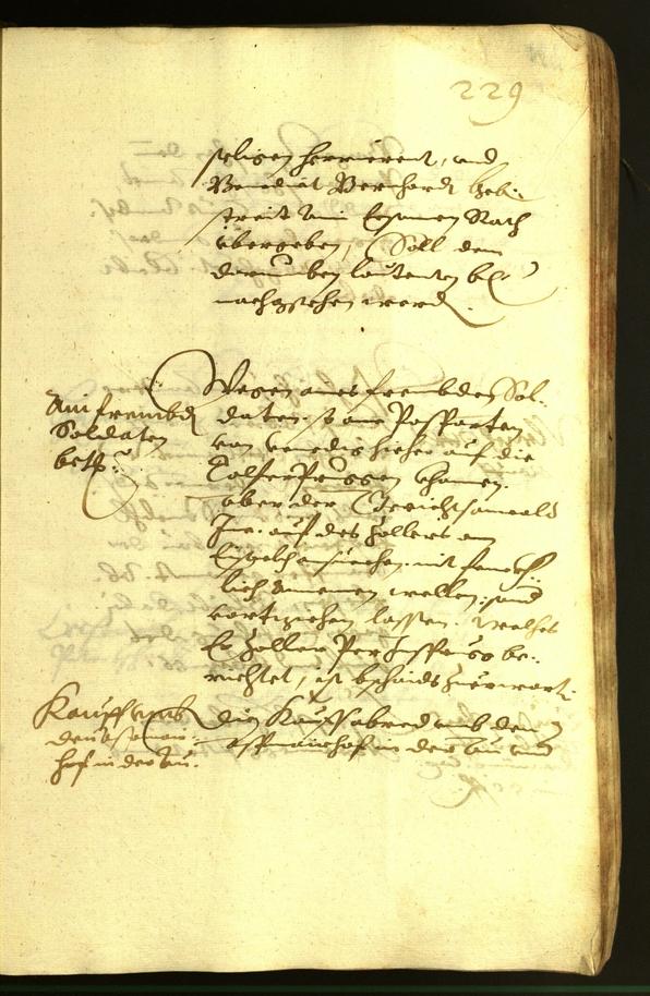 Civic Archives of Bozen-Bolzano - BOhisto Minutes of the council 1620 