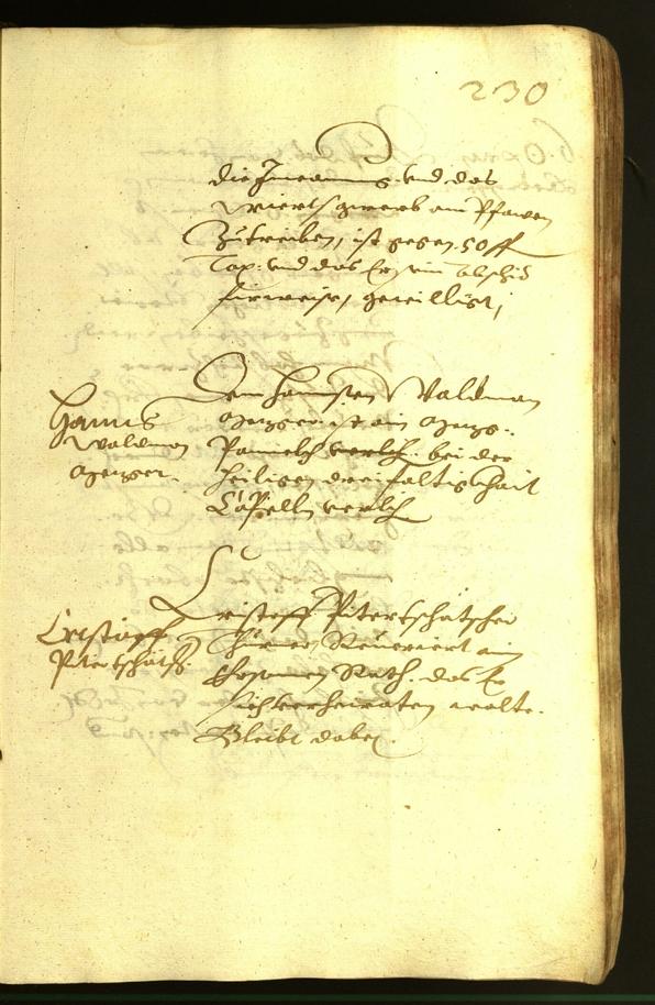 Civic Archives of Bozen-Bolzano - BOhisto Minutes of the council 1620 