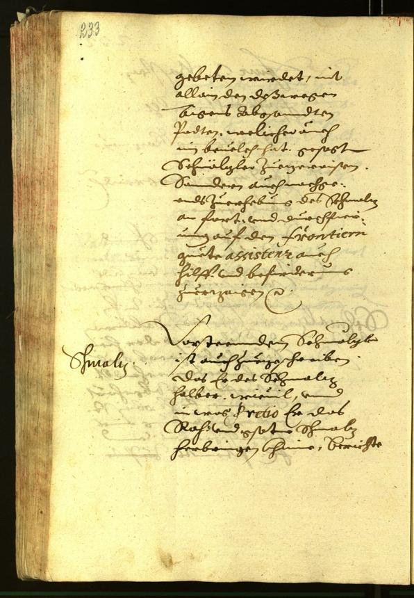 Civic Archives of Bozen-Bolzano - BOhisto Minutes of the council 1620 