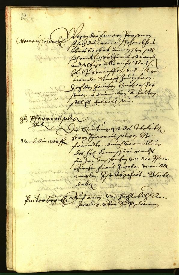 Civic Archives of Bozen-Bolzano - BOhisto Minutes of the council 1620 