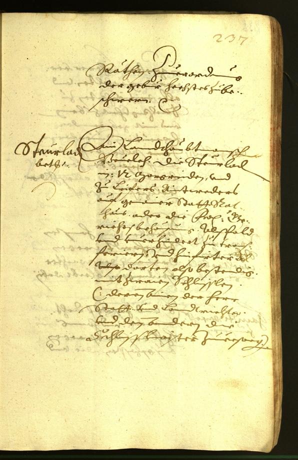 Civic Archives of Bozen-Bolzano - BOhisto Minutes of the council 1620 