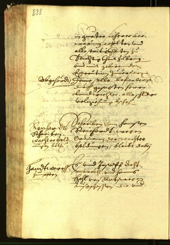 Civic Archives of Bozen-Bolzano - BOhisto Minutes of the council 1620 