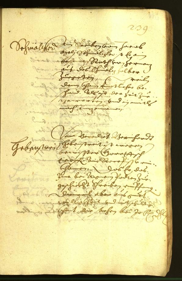 Civic Archives of Bozen-Bolzano - BOhisto Minutes of the council 1620 