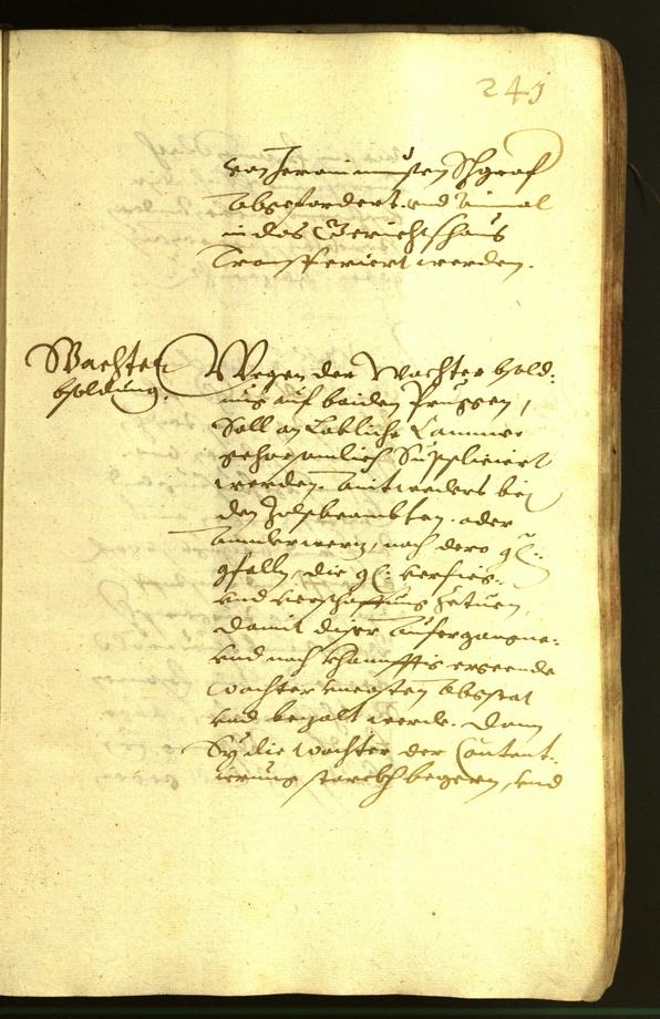 Civic Archives of Bozen-Bolzano - BOhisto Minutes of the council 1620 