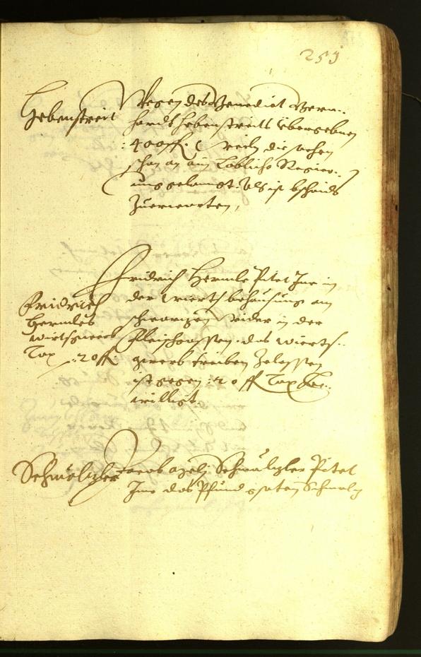 Civic Archives of Bozen-Bolzano - BOhisto Minutes of the council 1620 