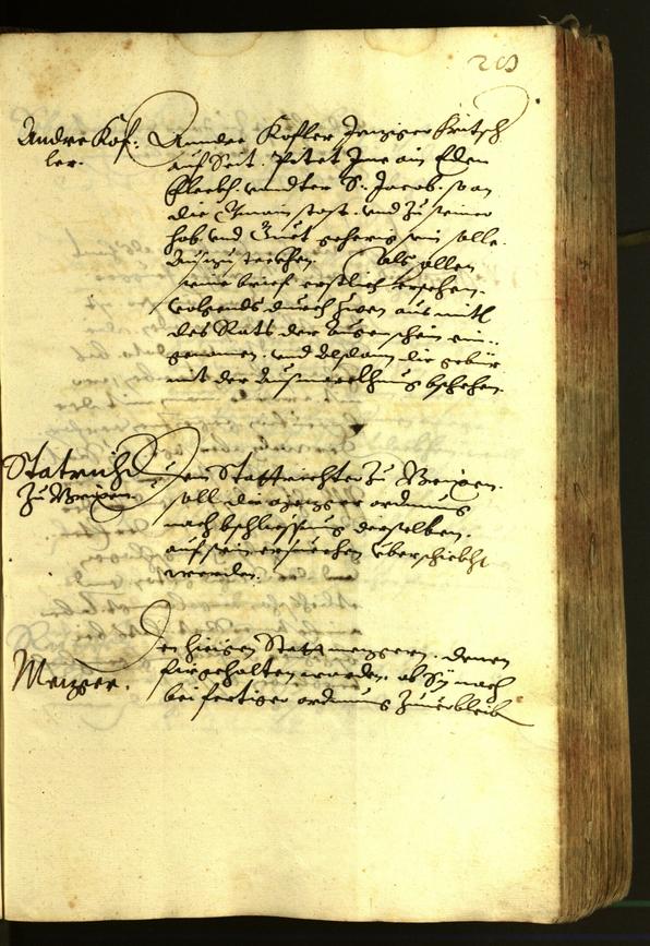 Civic Archives of Bozen-Bolzano - BOhisto Minutes of the council 1620 